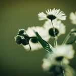 看房网站:寻找理想家园的最佳平台与实用指南 da3xnfe