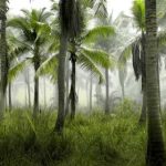 看剧吧:畅享精彩剧集,放松心情的最佳选择 in5h3xiy